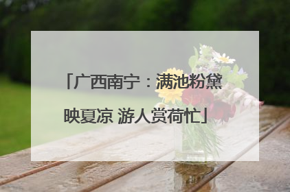 广西南宁：满池粉黛映夏凉 游人赏荷忙