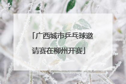 广西城市乒乓球邀请赛在柳州开赛