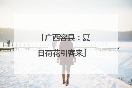 广西容县：夏日荷花引客来