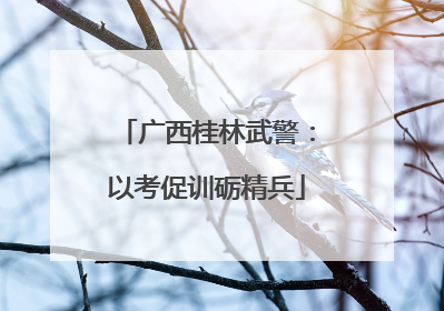 广西桂林武警：以考促训砺精兵