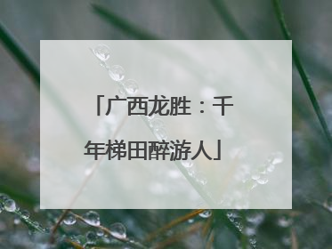广西龙胜：千年梯田醉游人