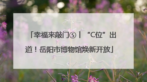 幸福来敲门⑤丨“C位”出道！岳阳市博物馆焕新开放