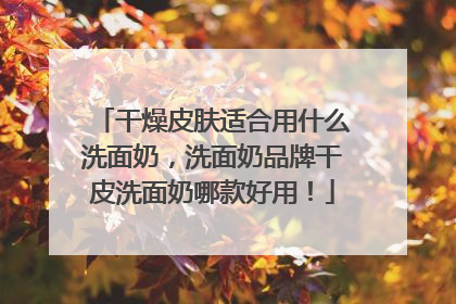 干燥皮肤适合用什么洗面奶，洗面奶品牌干皮洗面奶哪款好用！