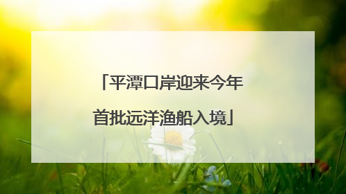 平潭口岸迎来今年首批远洋渔船入境