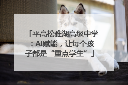 平高松雅湖高级中学：AI赋能，让每个孩子都是“重点学生”