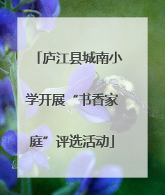 庐江县城南小学开展“书香家庭”评选活动