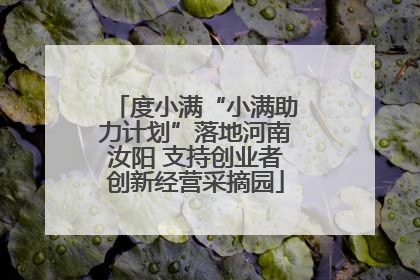 度小满“小满助力计划”落地河南汝阳 支持创业者创新经营采摘园