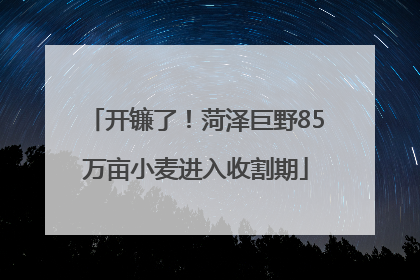 开镰了！菏泽巨野85万亩小麦进入收割期
