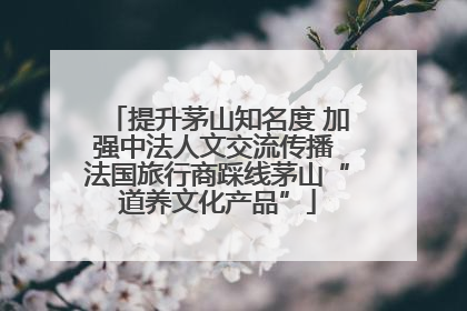 提升茅山知名度 加强中法人文交流传播 法国旅行商踩线茅山“道养文化产品”