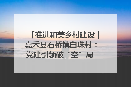 推进和美乡村建设｜嘉禾县石桥镇白珠村：党建引领破“空”局 乡贤聚力绘就新图景