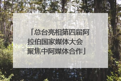 总台亮相第四届阿拉伯国家媒体大会 聚焦中阿媒体合作