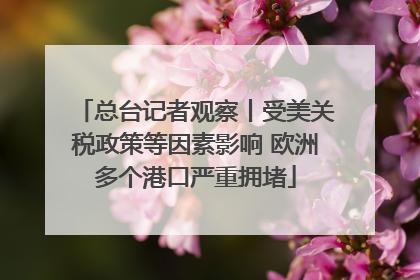 总台记者观察丨受美关税政策等因素影响 欧洲多个港口严重拥堵
