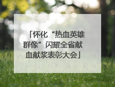 怀化“热血英雄群像”闪耀全省献血献浆表彰大会