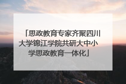 思政教育专家齐聚四川大学锦江学院共研大中小学思政教育一体化