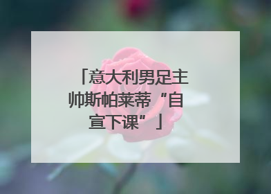 意大利男足主帅斯帕莱蒂“自宣下课”