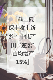 战三夏 保丰收丨新乡：中低产田“逆袭” 亩均增产15%