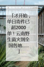 才开始，单日寄件已超2000单！云南野生菌火到全国各地……