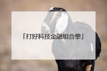 打好科技金融组合拳