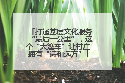 打通基层文化服务“最后一公里”，这个“大篷车”让村庄拥有“诗和远方”