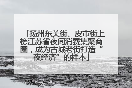 扬州东关街、皮市街上榜江苏省夜间消费集聚商圈，成为古城老街打造“夜经济”的样本
