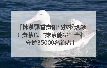 抹茶飘香贵阳马拉松现场！贵茶以“抹茶能量”全程守护35000名跑者