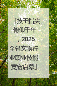 技于指尖 俯仰千年，2025全省文物行业职业技能竞赛启幕