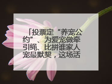 投票定“养宠公约”、为爱宠做牵引绳、比拼谁家人宠最默契，这场活动有趣更有意义
