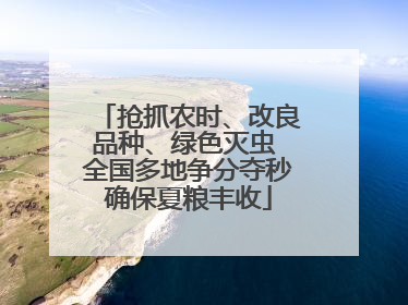 抢抓农时、改良品种、绿色灭虫 全国多地争分夺秒确保夏粮丰收