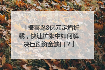 报喜鸟8亿元定增折戟，快速扩张中如何解决巨额资金缺口？