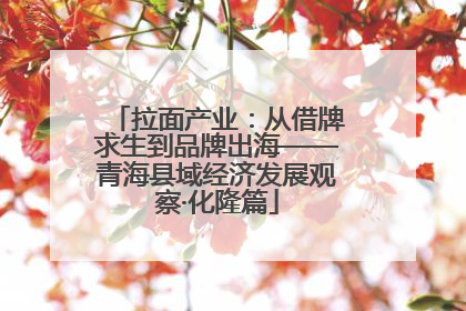 拉面产业：从借牌求生到品牌出海——青海县域经济发展观察·化隆篇