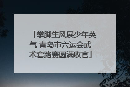 拳脚生风展少年英气 青岛市六运会武术套路赛圆满收官