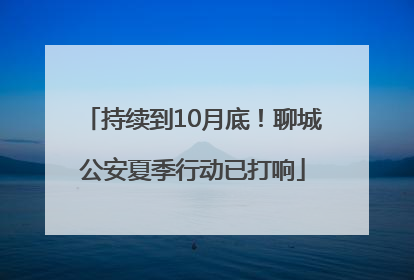 持续到10月底！聊城公安夏季行动已打响