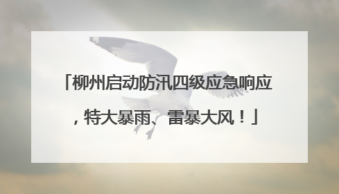 柳州启动防汛四级应急响应，特大暴雨、雷暴大风！