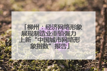 柳州：经济网络形象展现制造业重镇强力 上新“中国城市网络形象指数”报告