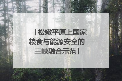 松嫩平原上国家粮食与能源安全的三峡融合示范