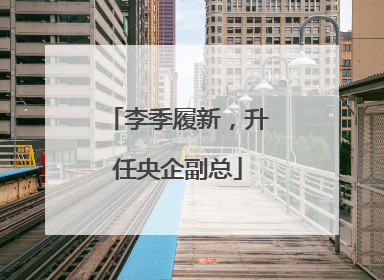 李季履新，升任央企副总