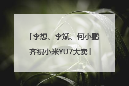 李想、李斌、何小鹏齐祝小米YU7大卖