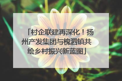 村企联建再深化！扬州产发集团与槐泗镇共绘乡村振兴新蓝图