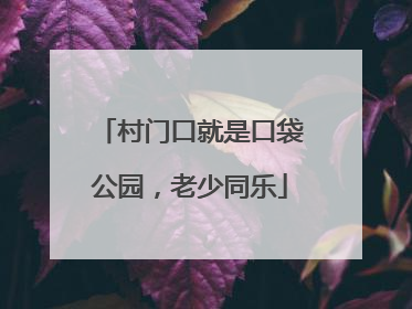 村门口就是口袋公园，老少同乐