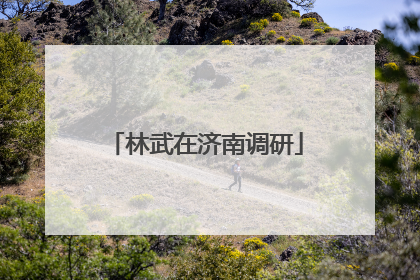 林武在济南调研