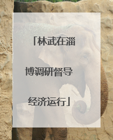 林武在淄博调研督导经济运行