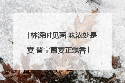林深时见菌 味浓处是宴 晋宁菌宴正飘香