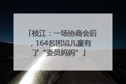 枝江：一场协商会后，164名困境儿童有了“委员妈妈”