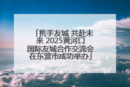 携手友城 共赴未来 2025黄河口国际友城合作交流会在东营市成功举办