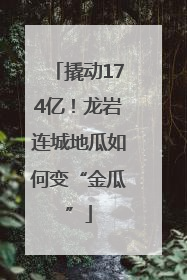 撬动174亿！龙岩连城地瓜如何变“金瓜”