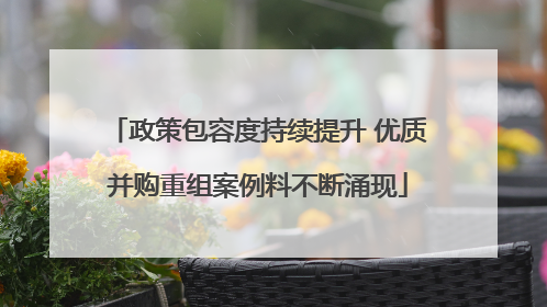政策包容度持续提升 优质并购重组案例料不断涌现