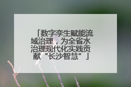 数字孪生赋能流域治理，为全省水治理现代化实践贡献“长沙智慧”