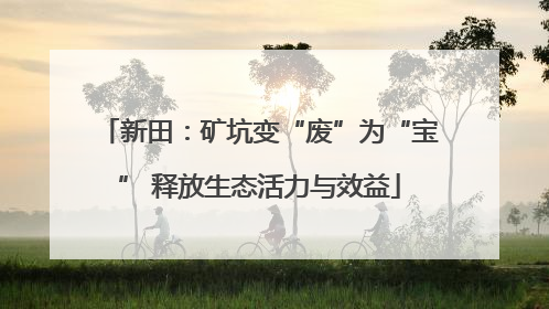 新田：矿坑变“废”为“宝” 释放生态活力与效益