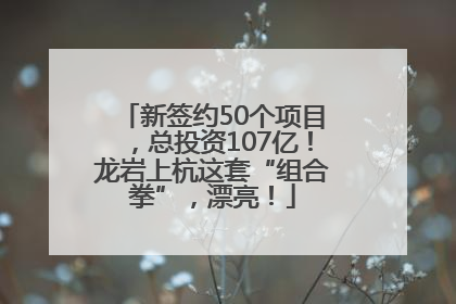 新签约50个项目，总投资107亿！龙岩上杭这套“组合拳”，漂亮！