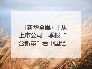 新华全媒+｜从上市公司一季报“含新量”看中国经济发展向“新”